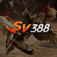 sv388